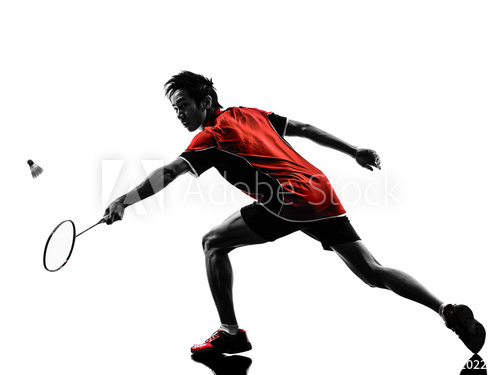 500x375 Badminton Player Young Man Silhouette