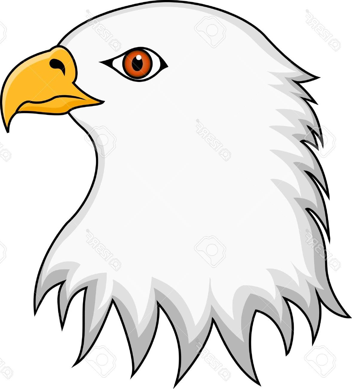 1178x1300 Eagle Drawing Outline