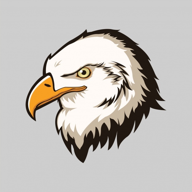 626x626 Eagle Head Vectors, Photos And Psd Files Free Download