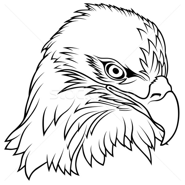 600x600 Eagle Stock Vectors, Illustrations And Cliparts Stockfresh