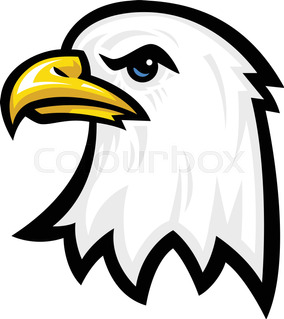 284x319 Outlined American Bald Eagle Stock Vector Colourbox