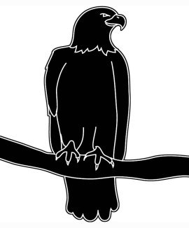 270x326 Drawn Bald Eagle Silhouette