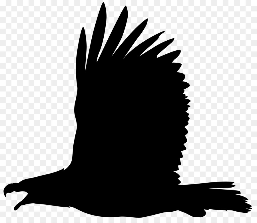 900x780 Bald Eagle Bird Clip Art