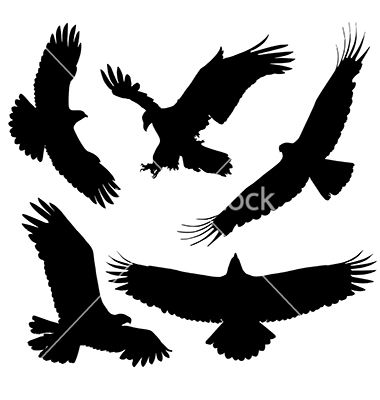 380x400 Eagle Silhouette Vector 1531612