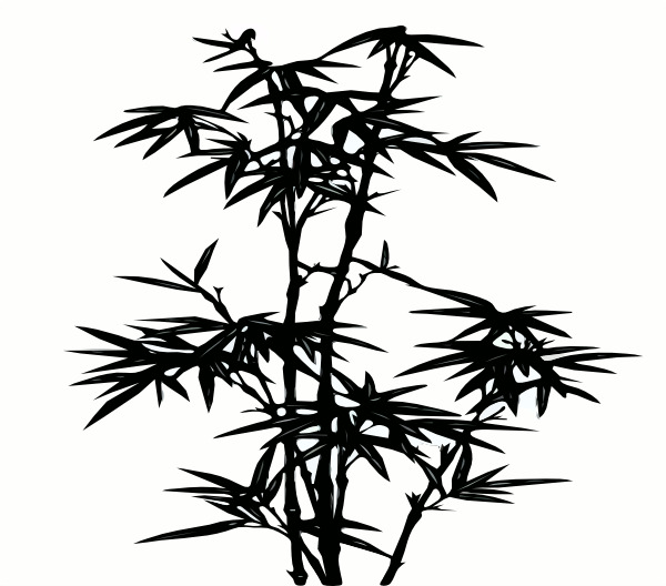 600x528 Black Bamboo Silhouette, Cartoon, Bamboo, Botany Png Image