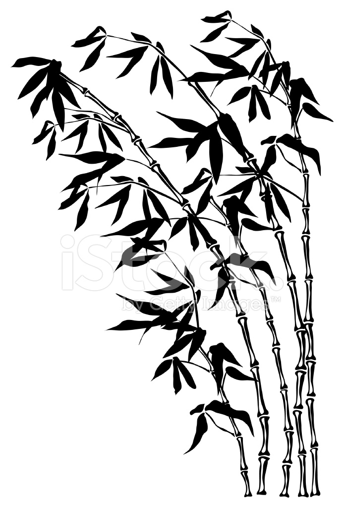 694x1024 Silhouette De Bambou Stock Vector