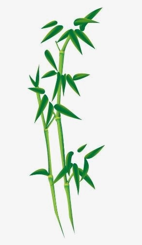 293x503 Bamboo Bamboo Creative Cartoon Pictures,cartoon Exquisite Fresh