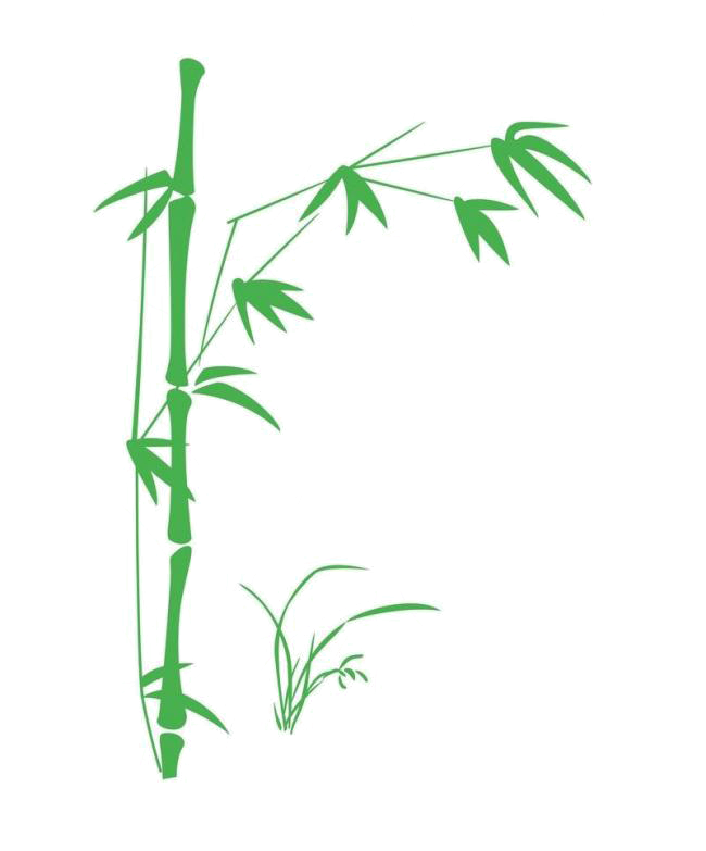 650x783 Wall Decal Sticker Bamboo