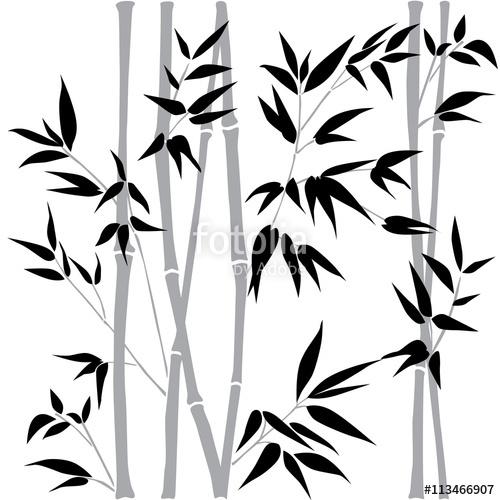 500x500 Decorative Bamboo Branches. Bamboo Forest Background. Vector