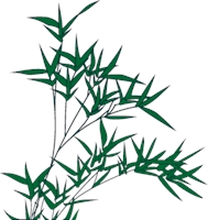 189x200 Bamboo Logo Vector (.eps) Free Download
