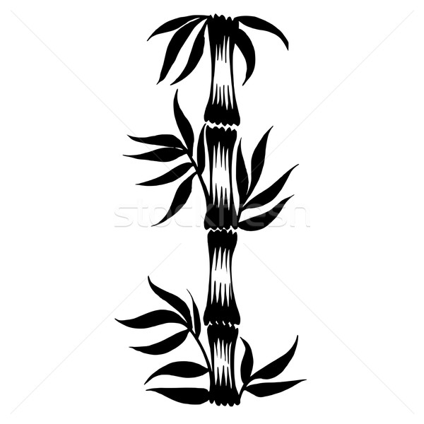 600x600 Decorative Silhouette Bamboo Vector Illustration Olena Stratii