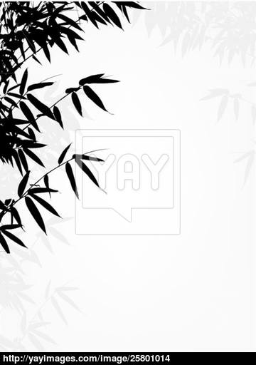 360x512 Bamboo Tree Silhouette Background Vector