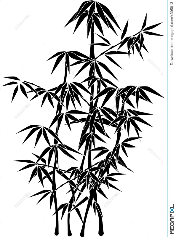 594x800 Giant Bamboo Plant Silhouette Illustration 4305813