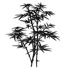 236x236 Tree Silhouettes. Vector Illustration.