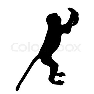 320x320 Silhouette Of Monkey Stock Vector Colourbox