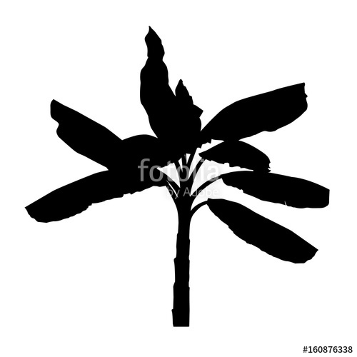500x500 Silhouette Of Realistic Banana Tree, Black Plant Illustration