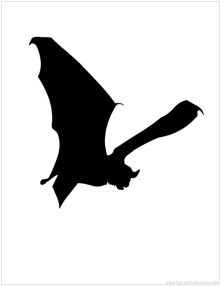 736x952 57 Best Bats Images On Bats, Halloween Bats