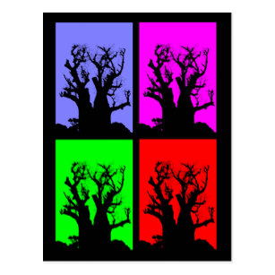 307x307 Boab Tree Cards