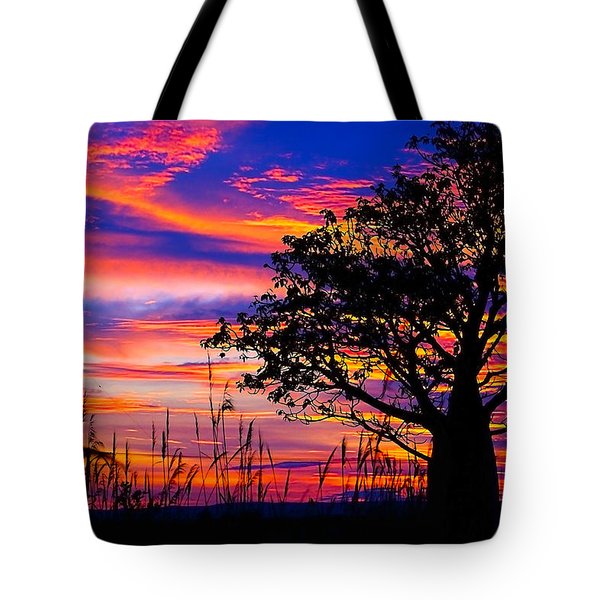 600x600 Boab Tree Tote Bags Fine Art America