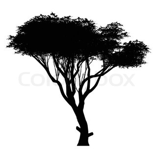 320x320 This An Linden Tree Silhouette Stock Vector Colourbox