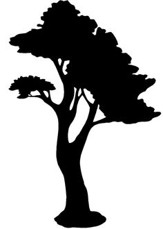 236x330 Oak Tree Silhouette Oak Tree Pictogram, Black Silhouette