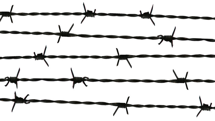 852x480 Barbed Wire Remains Of Iron Curtain Stock Footage Video (2018