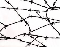 253x199 Image Result For Barbed Wire Drawing Photography