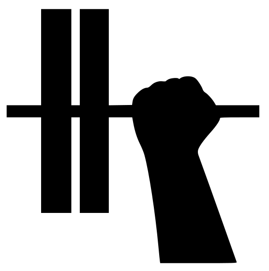 556x560 Fitness Barbell One Arm