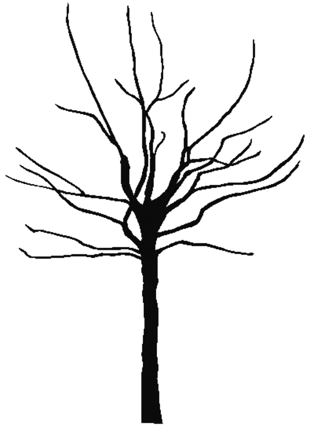 640x881 Tree Outline Clip Art