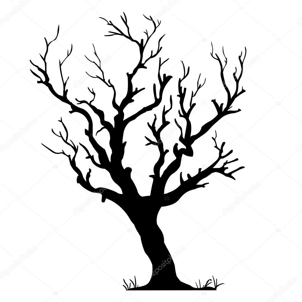 1024x1024 Vector Black Silhouette Of A Bare Tree Images Thai
