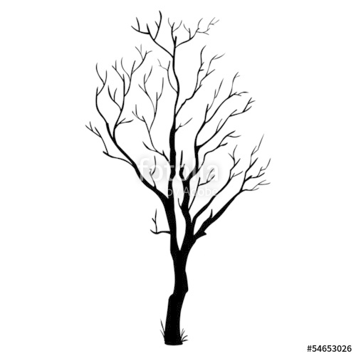 500x500 Vector Black Silhouette Of A Bare Tree Stock Image And Royalty