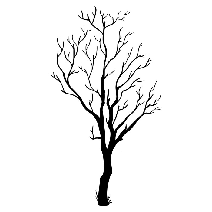 700x700 Vector Black Silhouette Of A Bare Tree Wall Mural We
