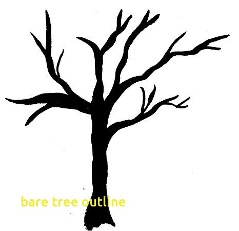 466x452 Bare Tree Outline
