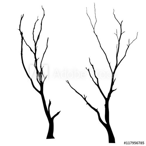 500x500 Vector Black Silhouette Of A Bare Tree