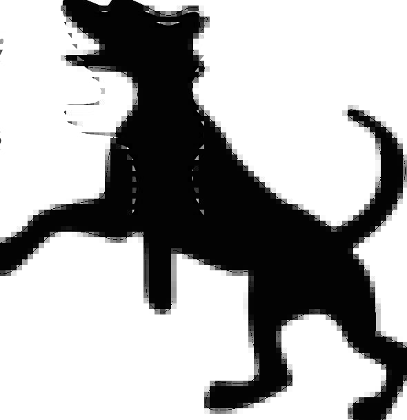 590x609 Dog, Doglike, Pet, Domesticated, Canine, Black, Dark, Jump