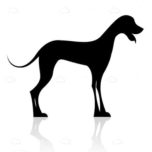 500x500 Black Dog Silhouette