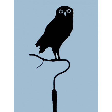 458x458 European Burrowing Owls Windvane