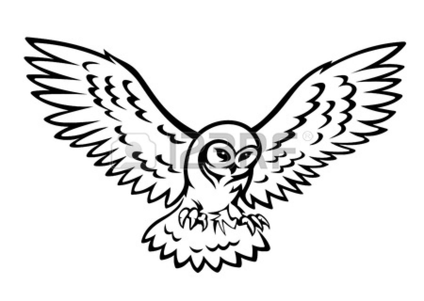 1350x960 Owl Flying Drawing Simple