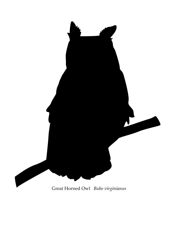 612x792 Owl Silhouette Project