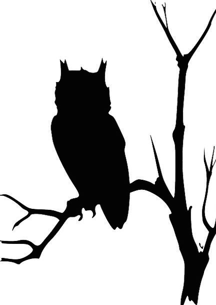 Barn Owl Silhouette at GetDrawings | Free download