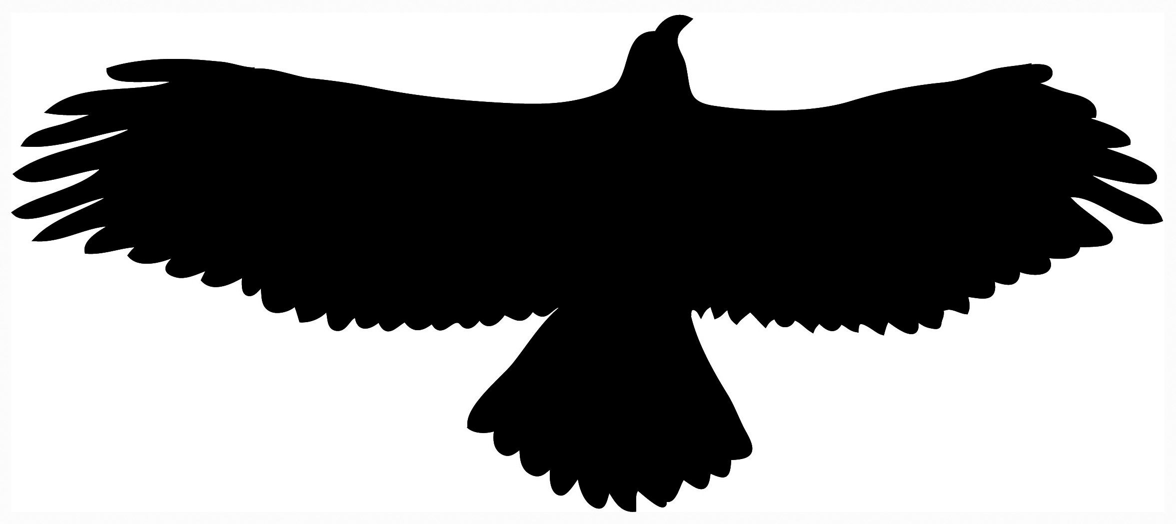 2353x1049 Eagle Silhouette