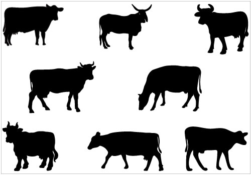500x350 Free Cow Vector, Hanslodge Clip Art Collection
