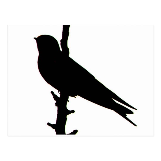 540x540 Barn Swallow Silhouette Postcard