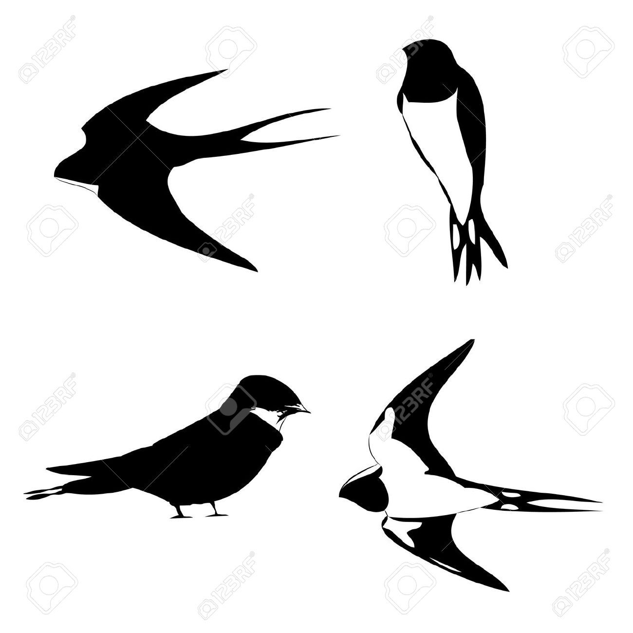 1300x1300 Images For Gt Swallow Tattoo Silhouette Personal Interest