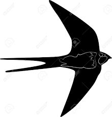 220x229 The 8 Best Images About Bird Silhouette On Swallows