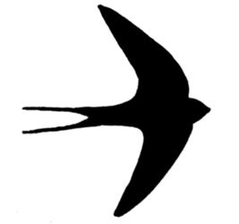 267x250 Barn Swallow Silhouette