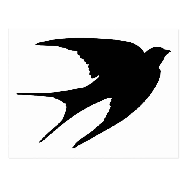 630x630 Barn Swallow Postcard