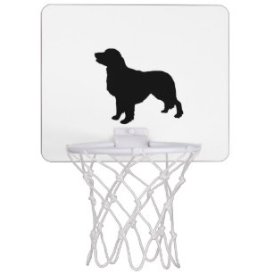 307x307 Retriever Mini Basketball Hoops Zazzle