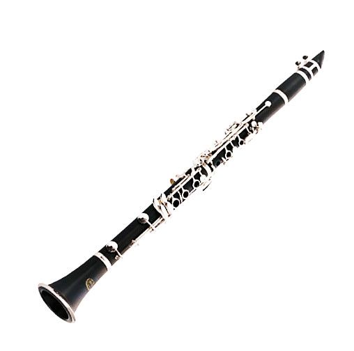 508x504 22 Best Clarinets Images On Canvas Prints, Clarinet