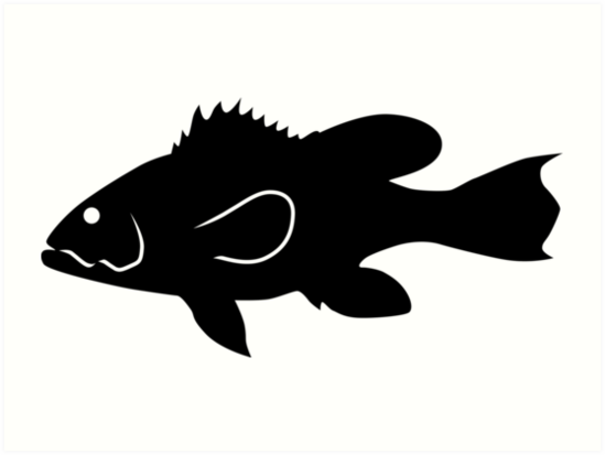 549x413 Black Sea Bass Fish Silhouette (Black) Art Prints By